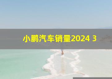 小鹏汽车销量2024 3